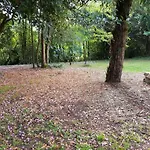 Privat bolig Chateau De Champblanc Cherves-de-Cognac