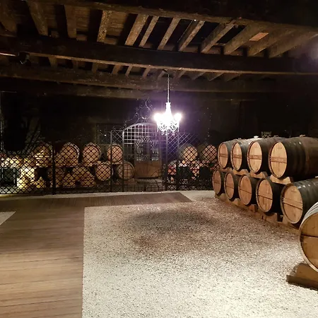 Chateau De Champblanc Kwatera prywatna