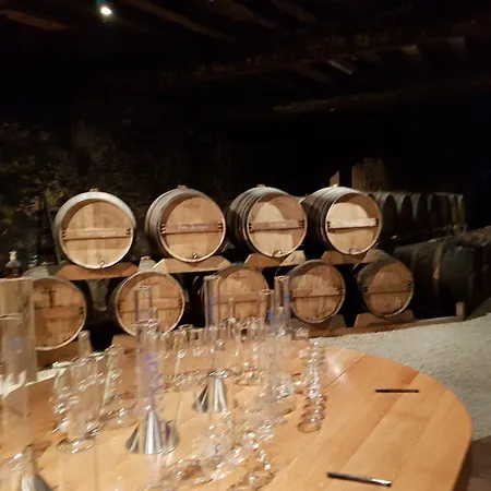 Chateau De Champblanc Kwatera prywatna