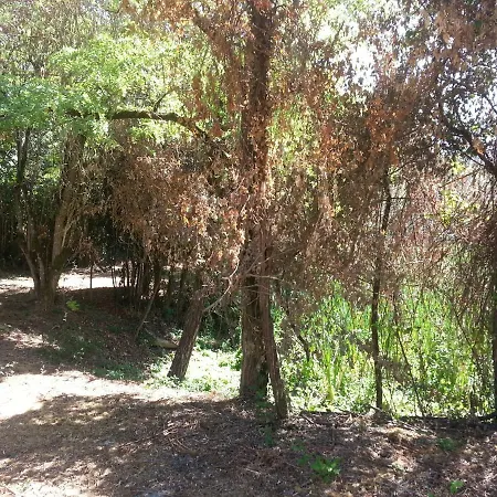 Chateau De Champblanc בית אירוח *