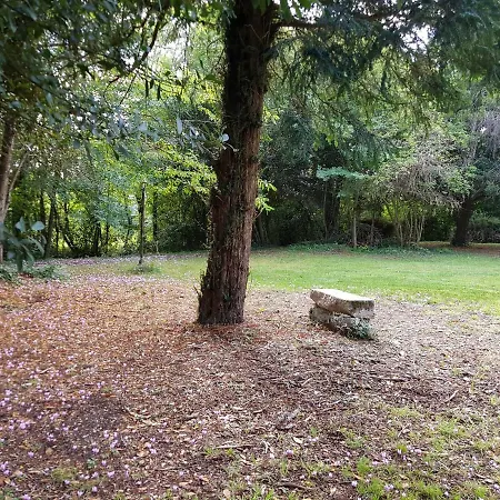 בית אירוח Chateau De Champblanc Cherves-de-Cognac