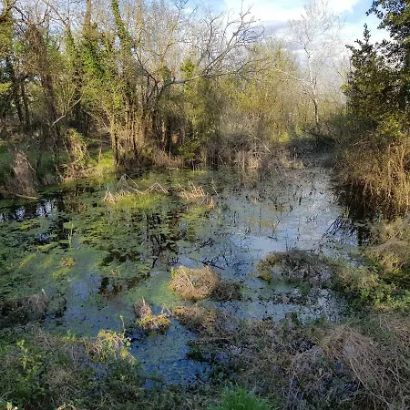 Kwatera prywatna Chateau De Champblanc *