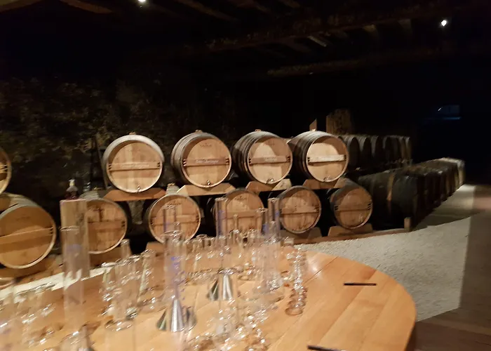 Chateau De Champblanc Privatunterkunft