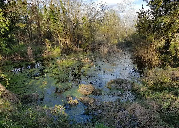 Privatunterkunft Chateau De Champblanc *