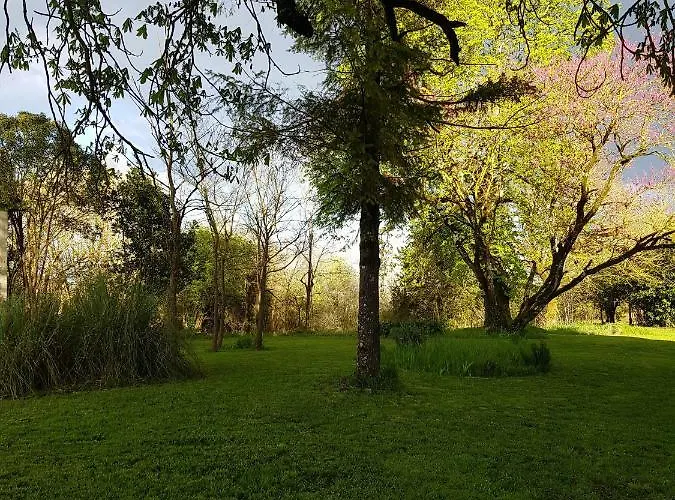 Chateau De Champblanc